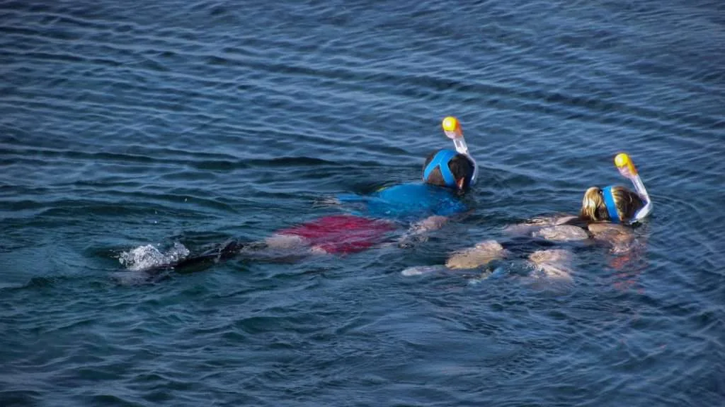 Enjoy Osa snorkeling