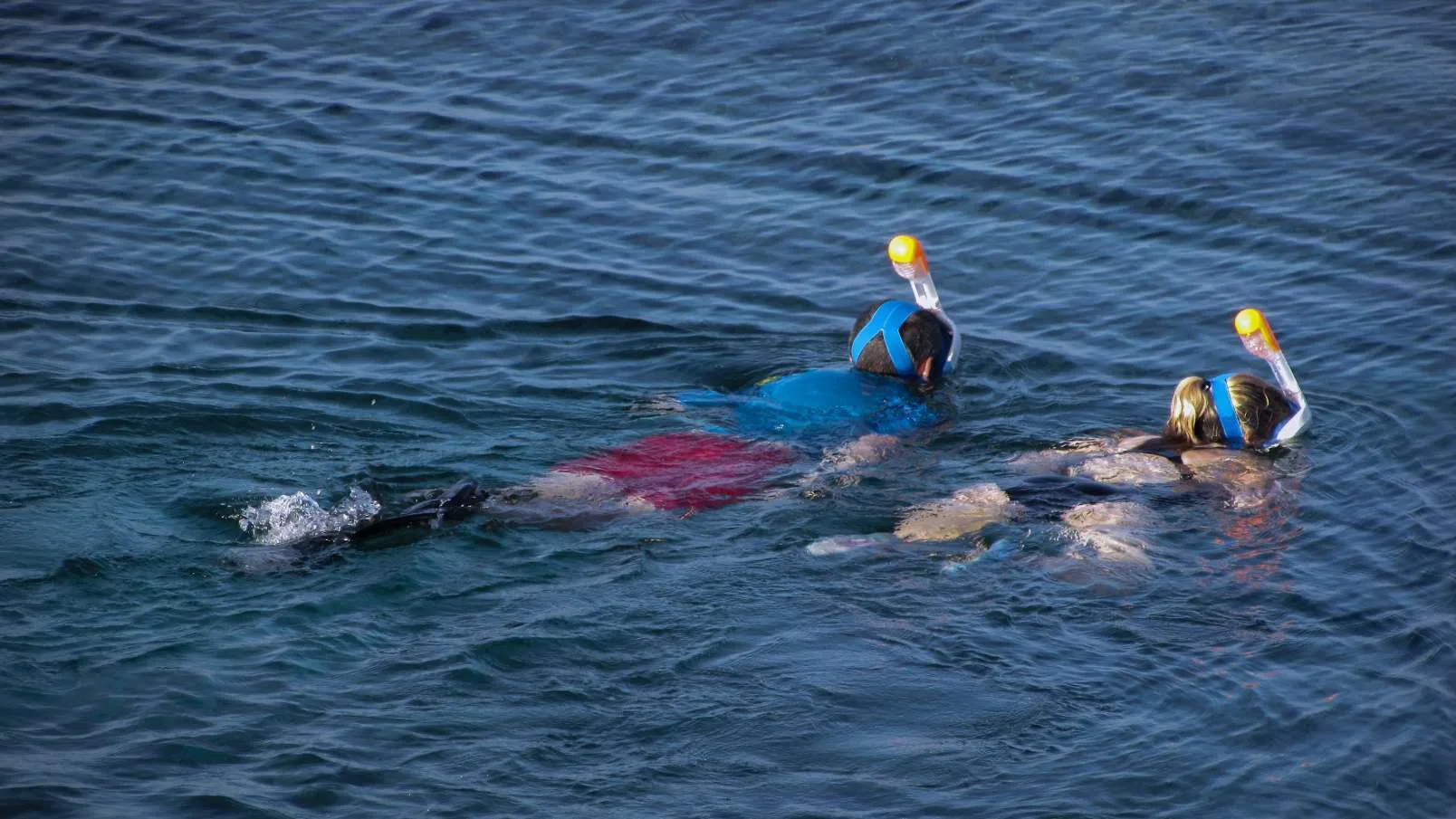 Enjoy Osa snorkeling