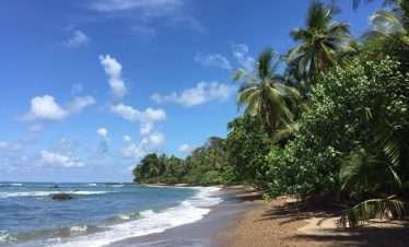 Enjoy Corcovado tour