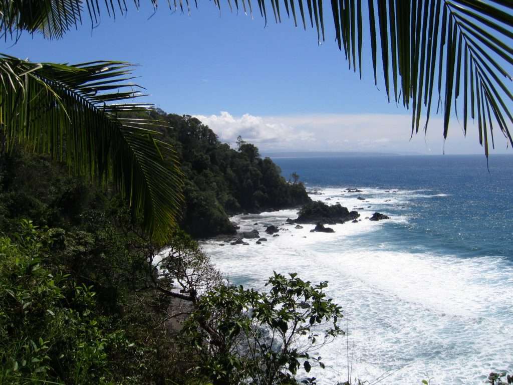 Isla del Cano in Osa Costa Rica