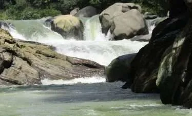 Enjoy Osa Rafting