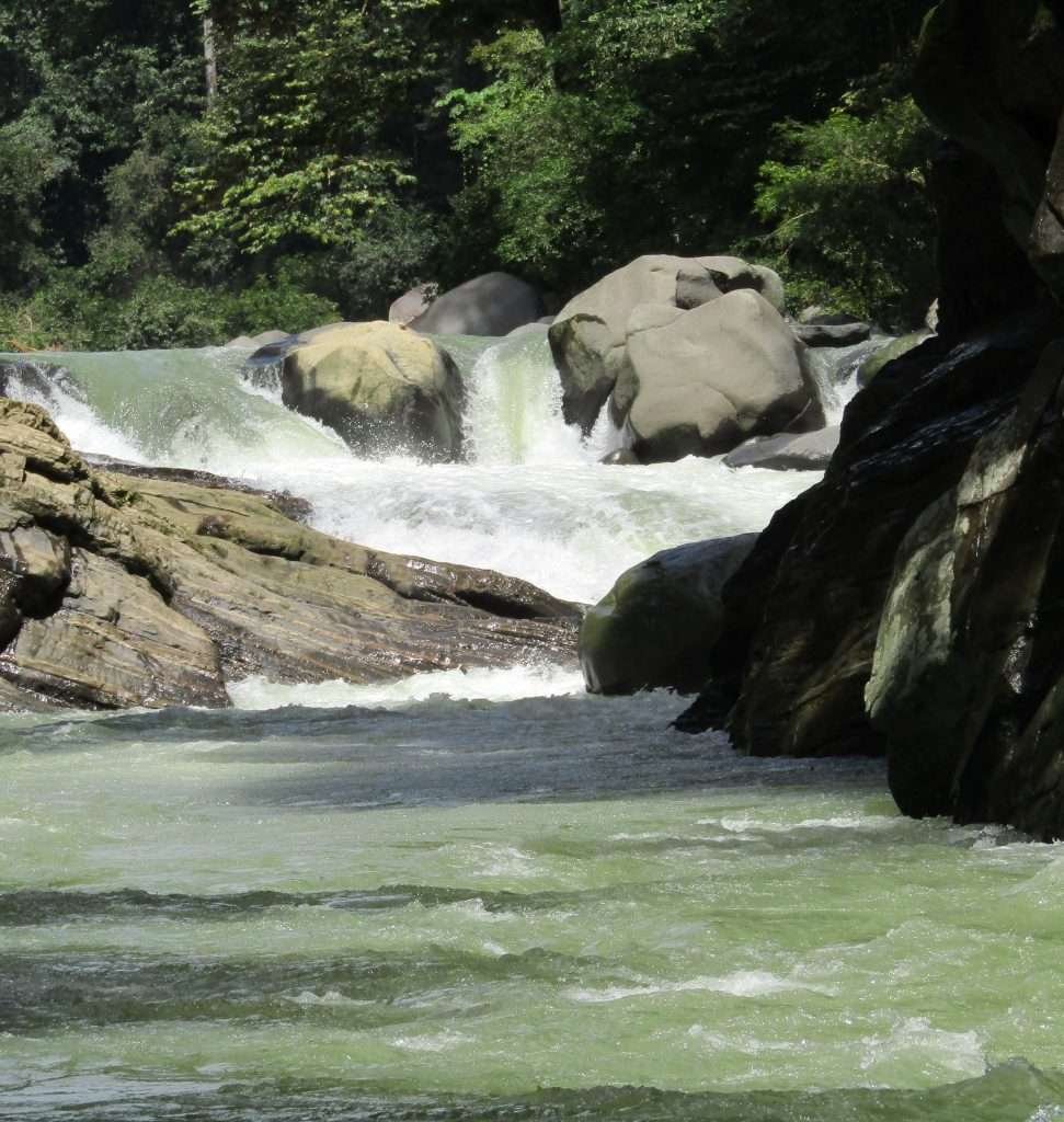 Enjoy Osa Rafting