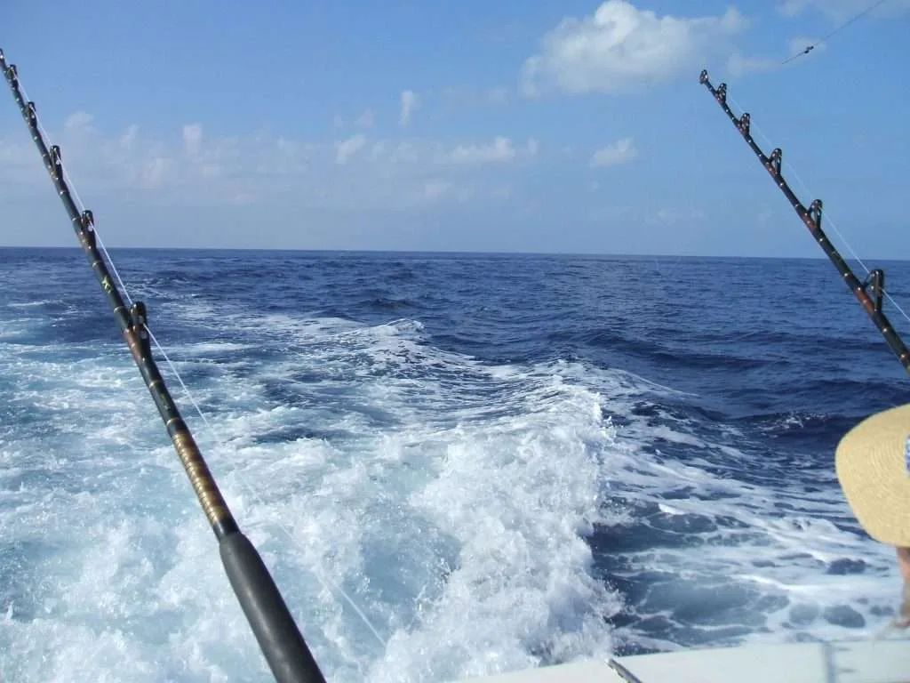 SPORTFISHING