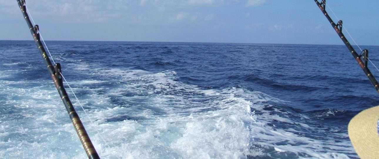 SPORTFISHING