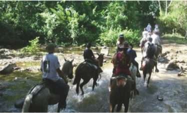 ENJOY OSA HORSEBACK RIDING