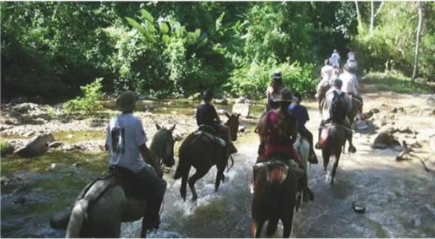 ENJOY OSA HORSEBACK RIDING