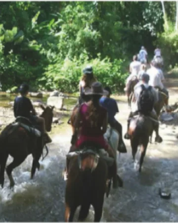 Horseback Riding