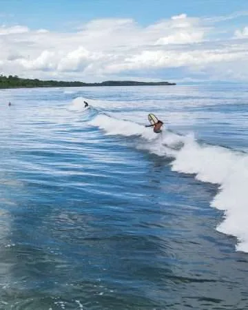 Surf Lessons