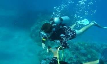 Cano Island Snorkeling Tour