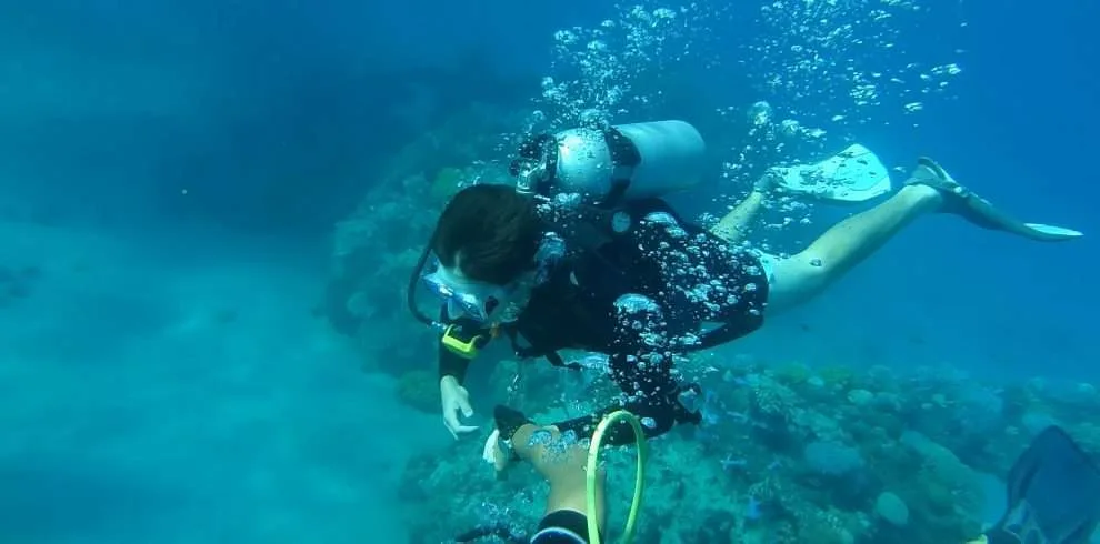 Cano Island Snorkeling Tour