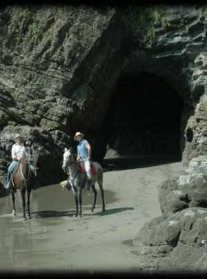 ENJOY OSA HORSEBACK RIDING