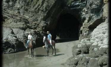 ENJOY OSA HORSEBACK RIDING