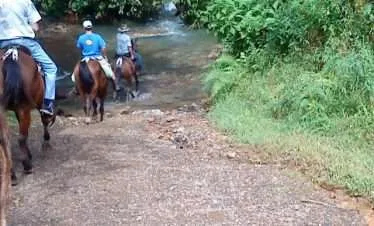 HORSEBACK RIDING