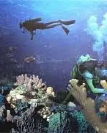 Cano Island Scuba Diving