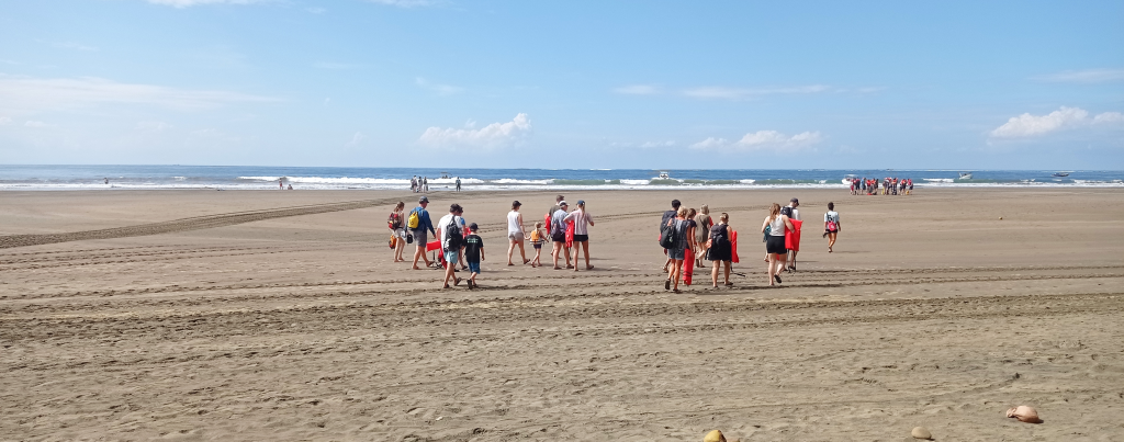 Enjoy Osa tours