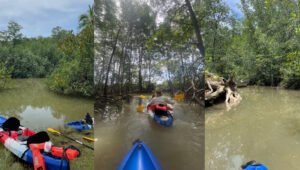 Enjoy Osa Kayaking