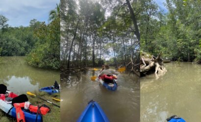 Enjoy Osa Kayaking
