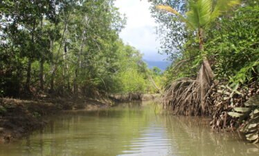 Enjoy Osa Kyaking Tour
