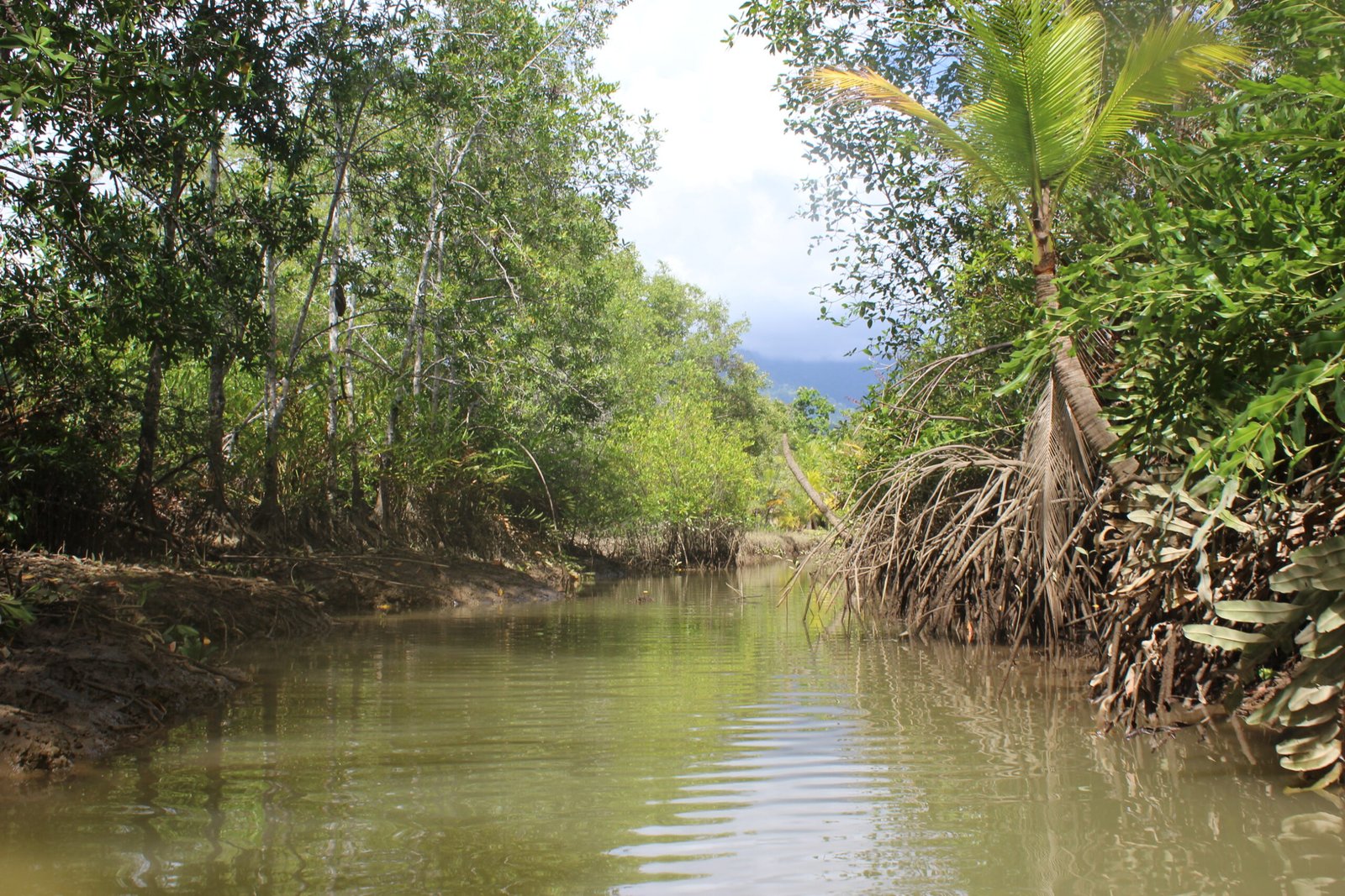 Enjoy Osa Kyaking Tour