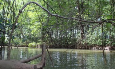 Enjoy Osa Kyaking Tour