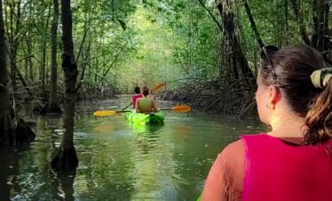 Enjoy Osa Kyaking Tour