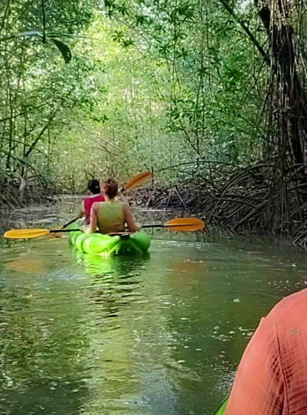 Enjoy Osa Kyaking Tour