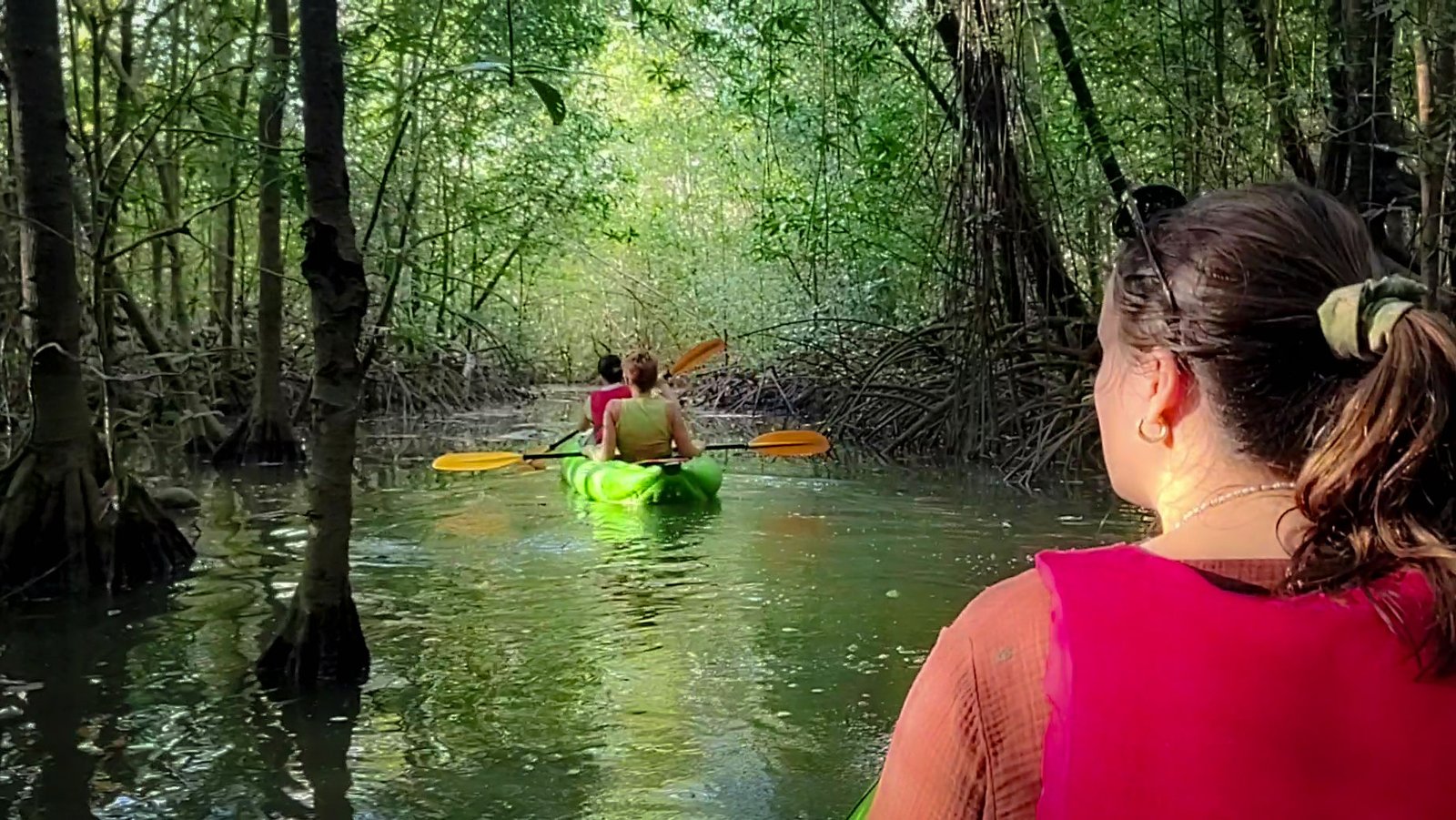 Enjoy Osa Kyaking Tour