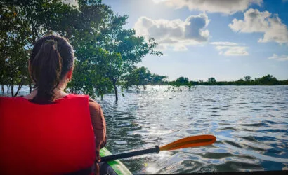 Enjoy Osa Kyaking Tour