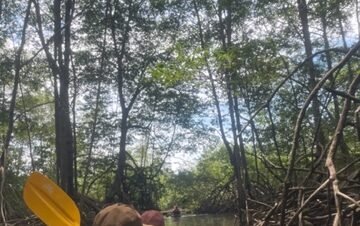 Enjoy Osa Kyaking Tour