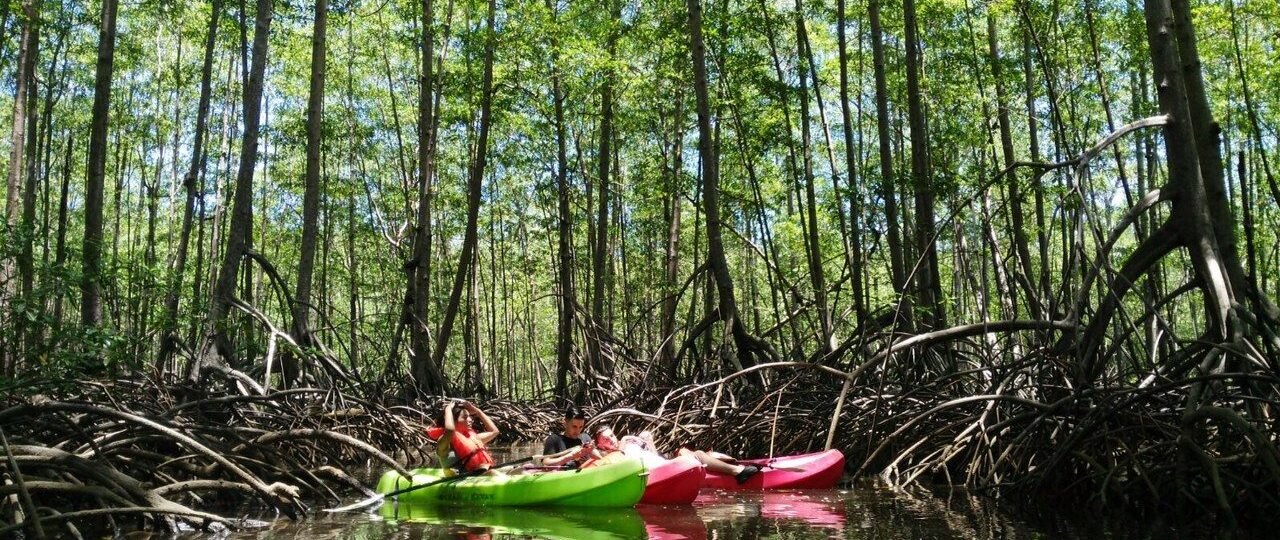 Enjoy Osa Kyaking Tour