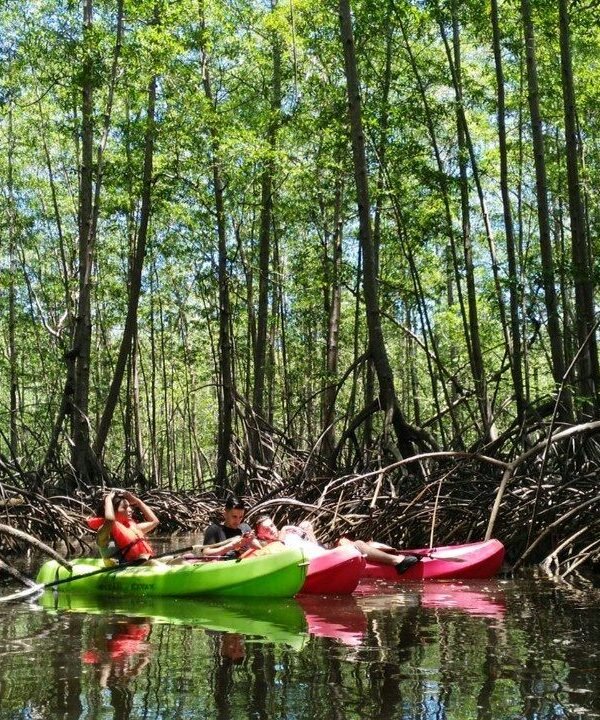 Enjoy Osa Kyaking Tour