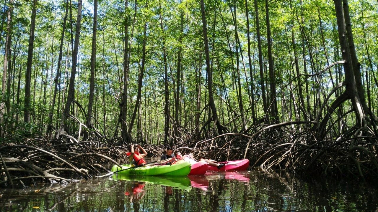 Enjoy Osa Kyaking Tour