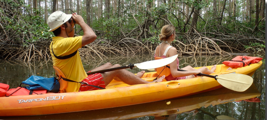Enjoy Osa Kyaking Tour