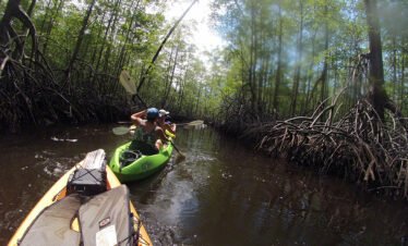 Enjoy Osa Kyaking Tour