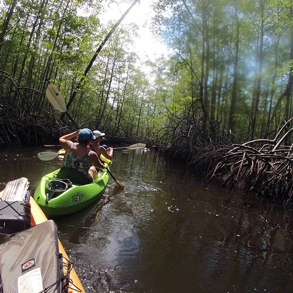 Enjoy Osa Kyaking Tour