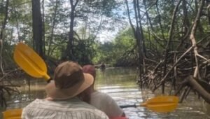Enjoy Osa Kayaking Tour