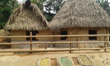 Boruca Indigenous Town tour