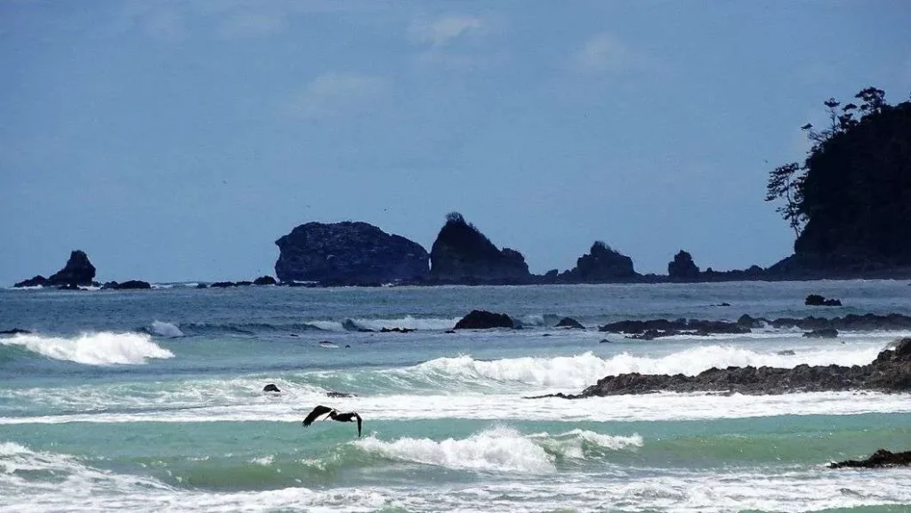 Corcovado National Park Costa Rica