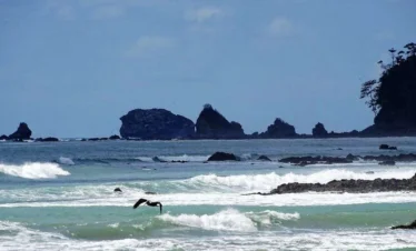 Corcovado National Park Costa Rica