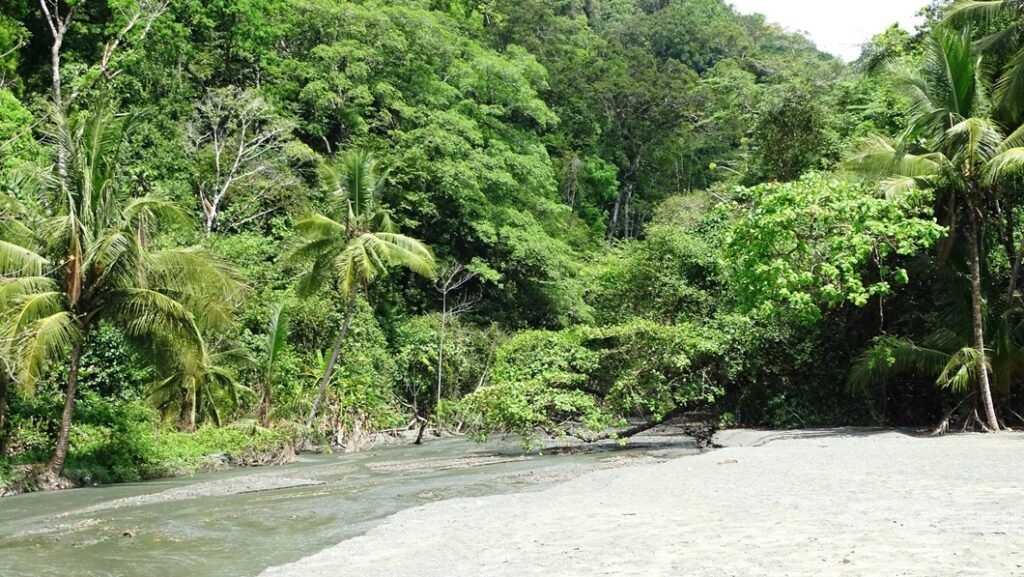 Corcovado National Park Costa Rica