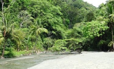 Corcovado National Park Costa Rica