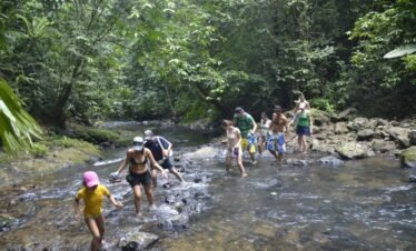Corcovado National Park Costa Rica