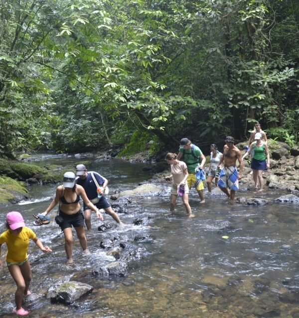 Corcovado National Park Costa Rica
